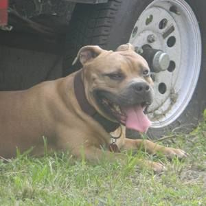 Meet your Posher, Neshawn